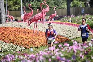 BIB: 
                            <button type="button" onclick="openModal(27793321)" class="btn btn-primary btn-sm float-right btn-popup" data-toggle="modal" data-target=".modal-high-quality">
                        <i class="fas fa-shopping-cart"></i> Add to Cart
                    </button>
                                            <button type="button" onclick="isThisMe(27793321, true)" class="btn btn-success btn-sm float-right btn-popup btn-isme hidden" data-toggle="tooltip" data-placement="bottom" title="นี่คือรูปของคุณใช่ไหม คลิกที่นี่เพื่อเอาเข้าอัลบั้ม">
                        <i class="fas fa-plus"></i> Add to album
                    </button>
                    <button type="button" onclick="isThisMe(27793321, false)" class="btn btn-warning btn-sm float-right btn-popup btn-isnotme hidden">
                        <i class="fas fa-ban"></i> Remove from album
                    </button>